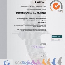 PiQu ISO 9001 Certification